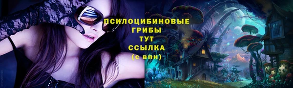 дмт Баксан