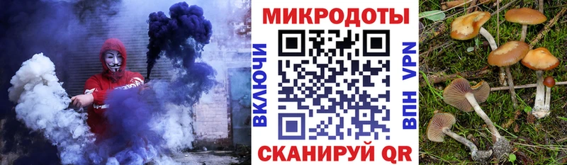 как найти   Курганинск  Псилоцибиновые грибы прущие грибы 